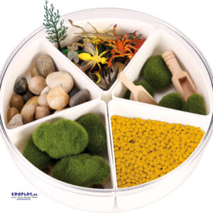 Sensorik Kasten Insekten