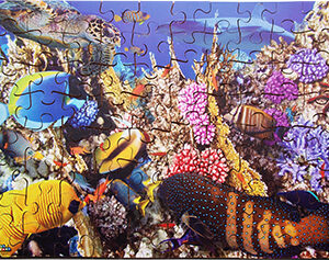 Puzzle Korallenriff